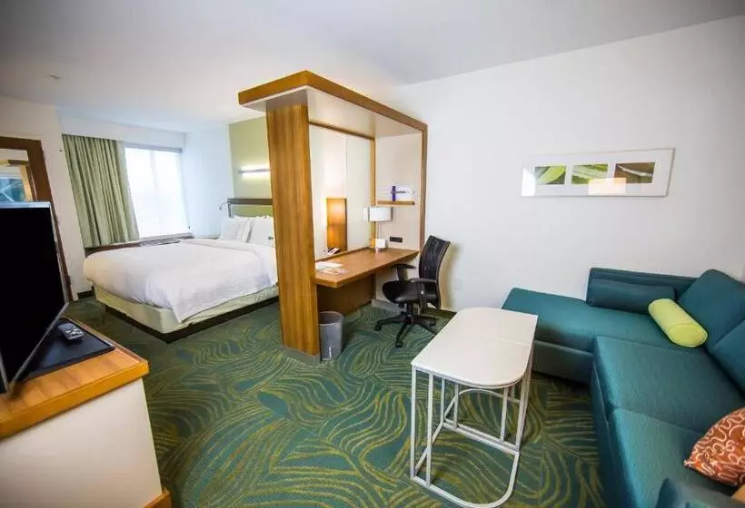キングサイドベッドのスタンダードワンルーム, Springhill Suites Lumberton
