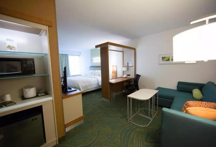 キングサイドベッドのスタンダードワンルーム, Springhill Suites Lumberton