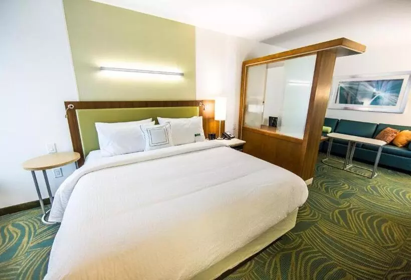 キングサイドベッドのスタンダードワンルーム, Springhill Suites Lumberton