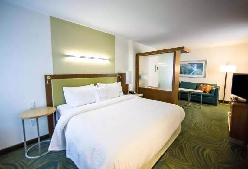 キングサイドベッドのスタンダードワンルーム, Springhill Suites Lumberton