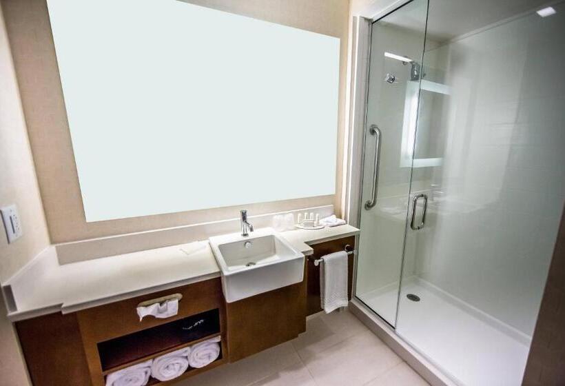 إستوديو قياسى سرير ملكى, Springhill Suites Lumberton