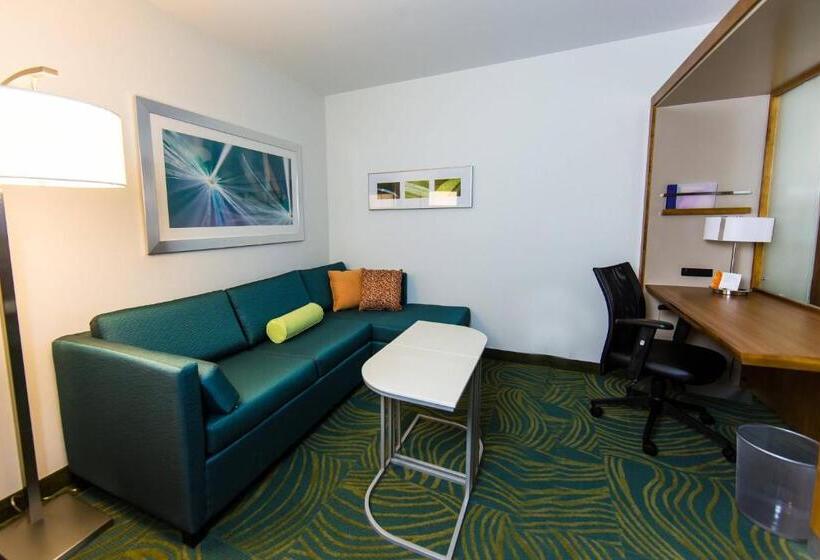 إستوديو قياسى سرير ملكى, Springhill Suites Lumberton