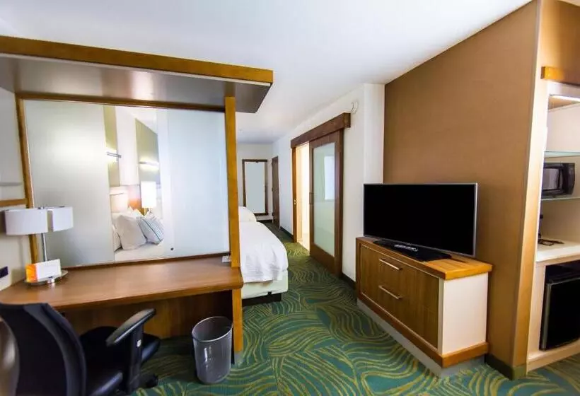 クイーンベッドのスタンダードスタジオ, Springhill Suites Lumberton