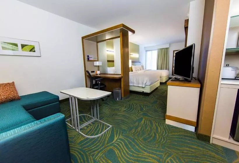 クイーンベッドのスタンダードスタジオ, Springhill Suites Lumberton