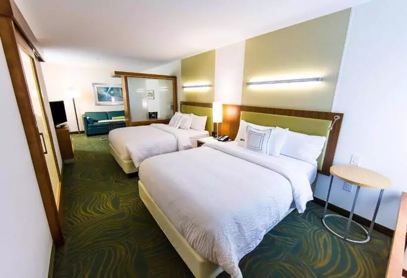 クイーンベッドのスタンダードスタジオ, Springhill Suites Lumberton