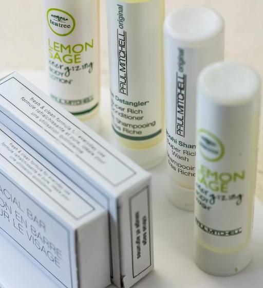 إستوديو قياسى سرير كينج, Springhill Suites Lumberton