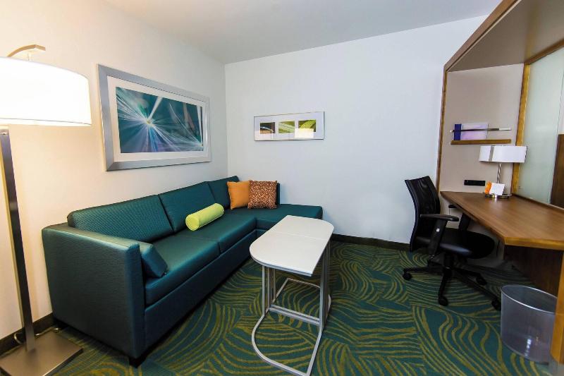 إستوديو قياسى سرير ملكى, Springhill Suites Lumberton