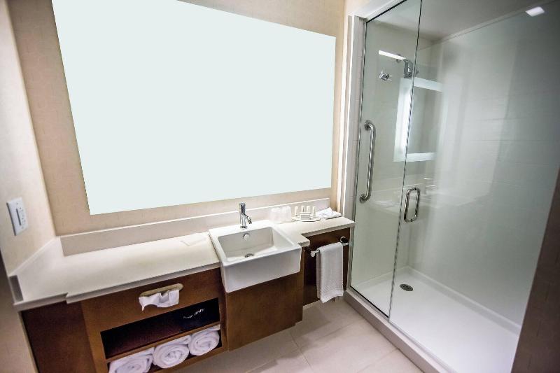 إستوديو قياسى سرير ملكى, Springhill Suites Lumberton