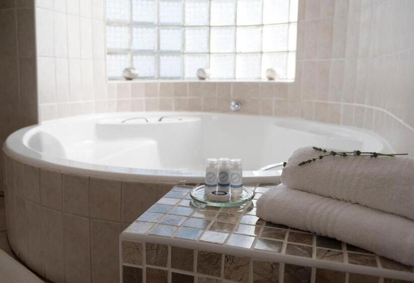 스위트, President Lodge