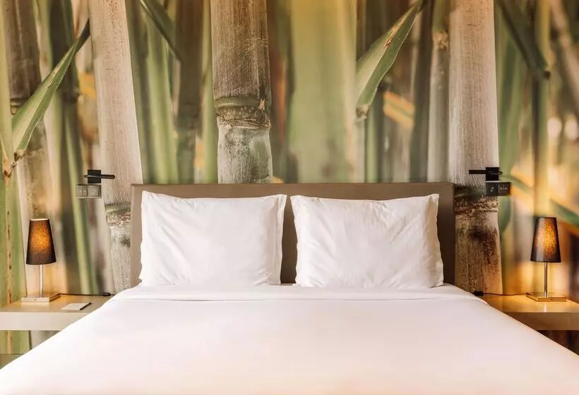 اتاق استاندارد, Saccharum Resort