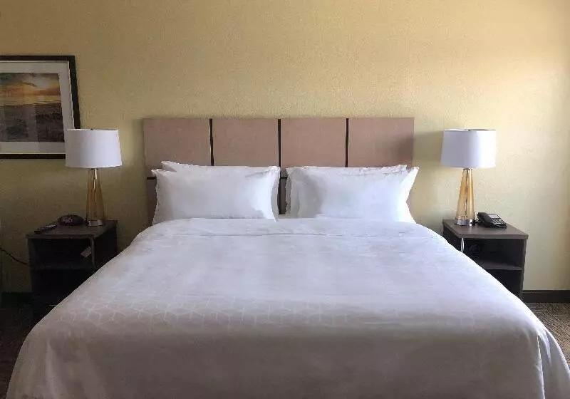 سوییت, Saccharum Resort