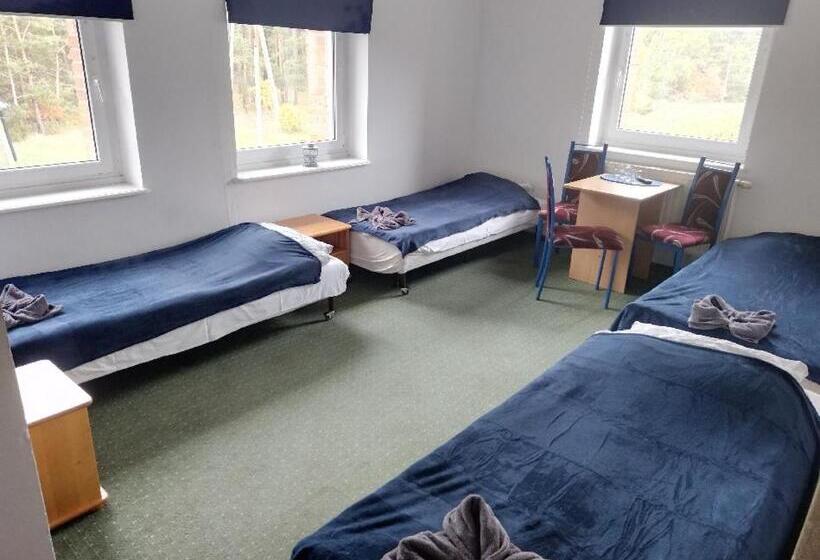 اتاق استاندارد چهار تخته, Gościniec Silver