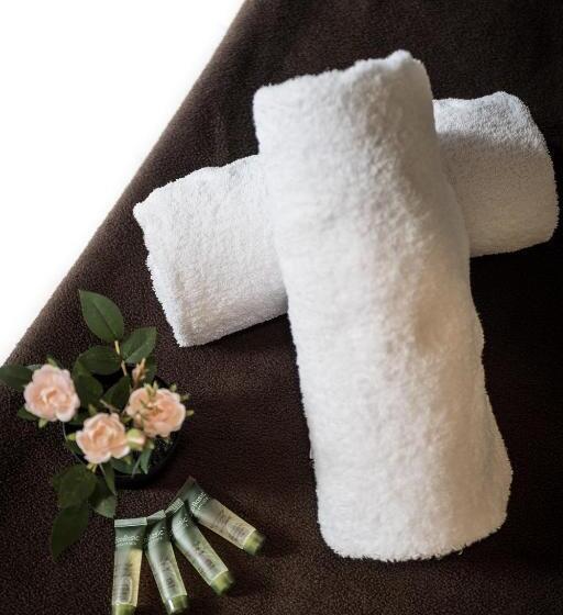 اتاق استاندارد چهارنفره با سرویس بهداشتی مشترک, Sydney Central Inn