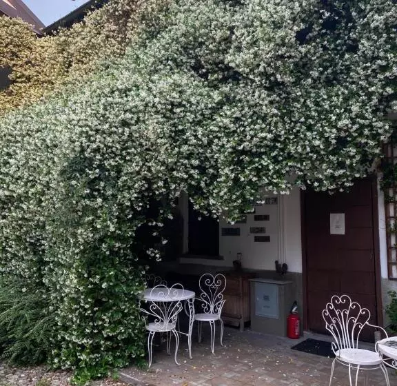 استودیوی استاندارد, Antica Corte Milanese