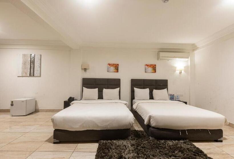 חדר סטנדרט, Airport View