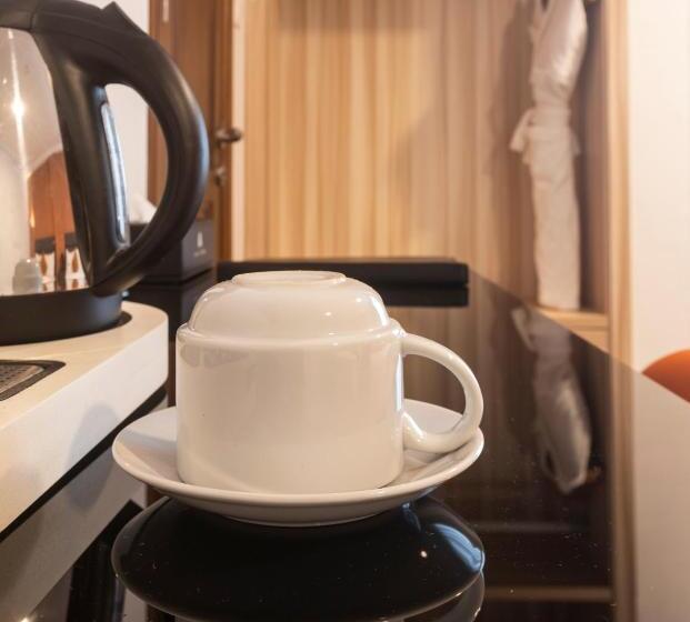 חדר סטנדרט יחיד, Airport View