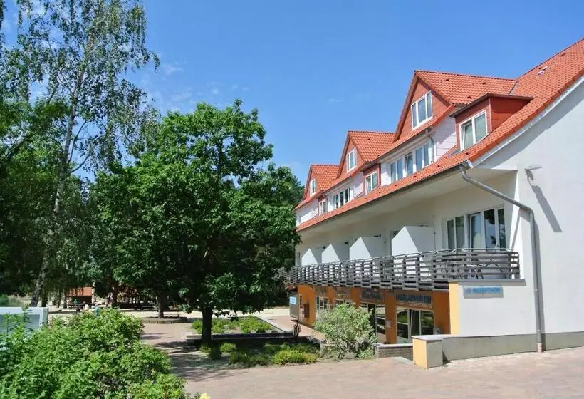 スイート, Bernsteinsee