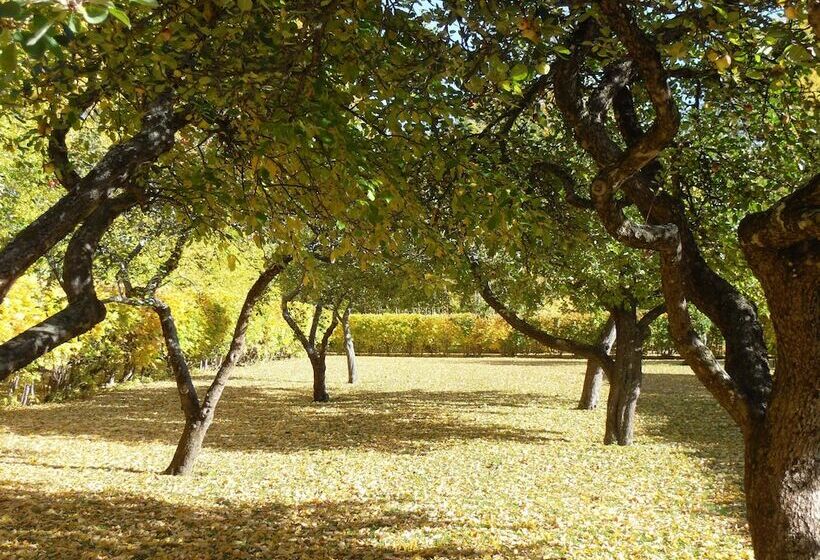 Номер Superior с Террасой, Nasby Slott