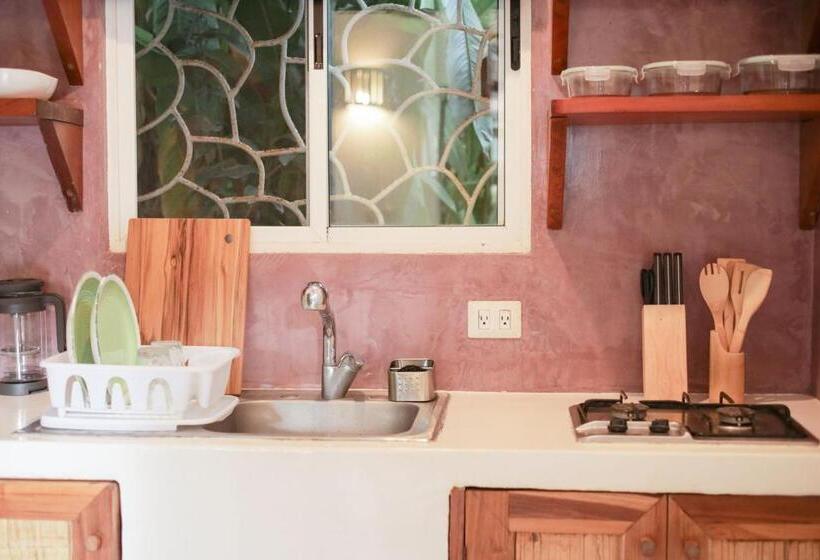 דירת חדר, Outsite Santa Teresa Playa