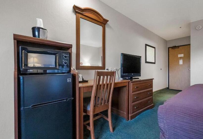 キングサイズベッドのスタンダードルーム, Sonora Aladdin Motor Inn