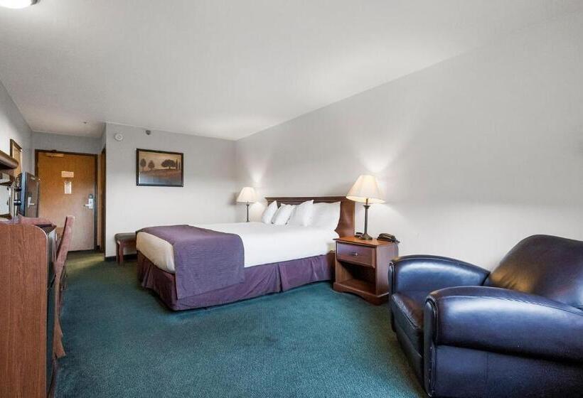 キングサイズベッドのスタンダードルーム, Sonora Aladdin Motor Inn