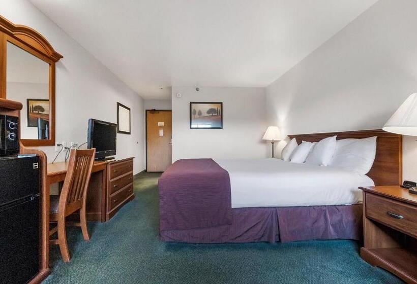 Стандартный Номер Кровать Кинг, Sonora Aladdin Motor Inn