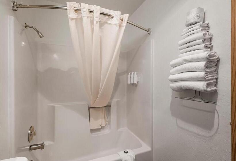 スタンダードルーム, Sonora Aladdin Motor Inn