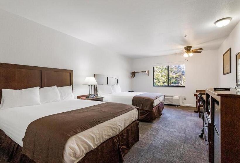 スタンダードルーム, Sonora Aladdin Motor Inn