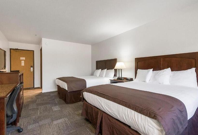 スタンダードルーム, Sonora Aladdin Motor Inn