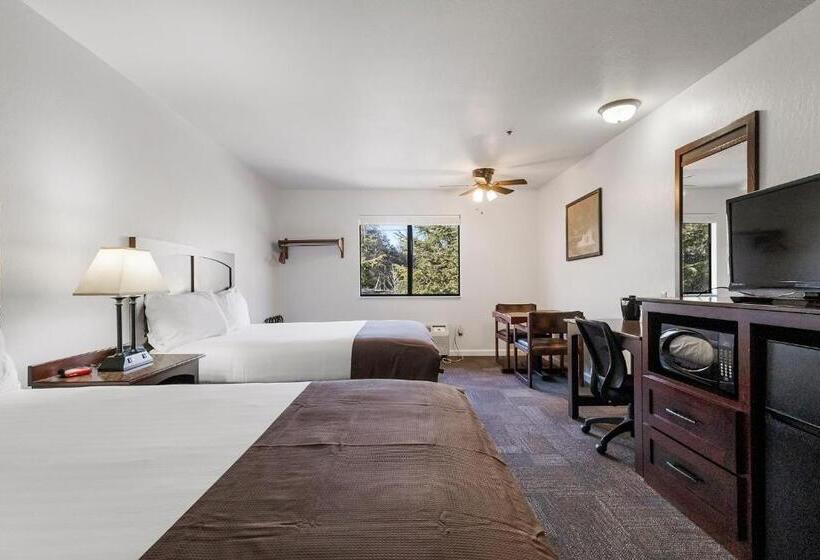 スタンダードルーム, Sonora Aladdin Motor Inn