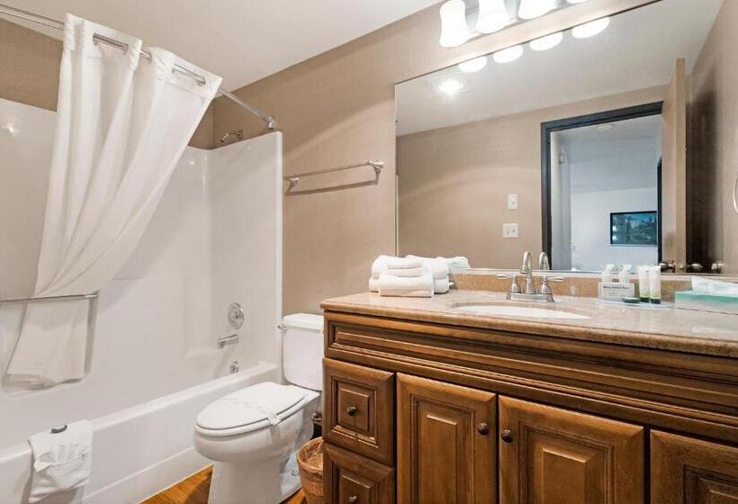 スイート, Sonora Aladdin Motor Inn