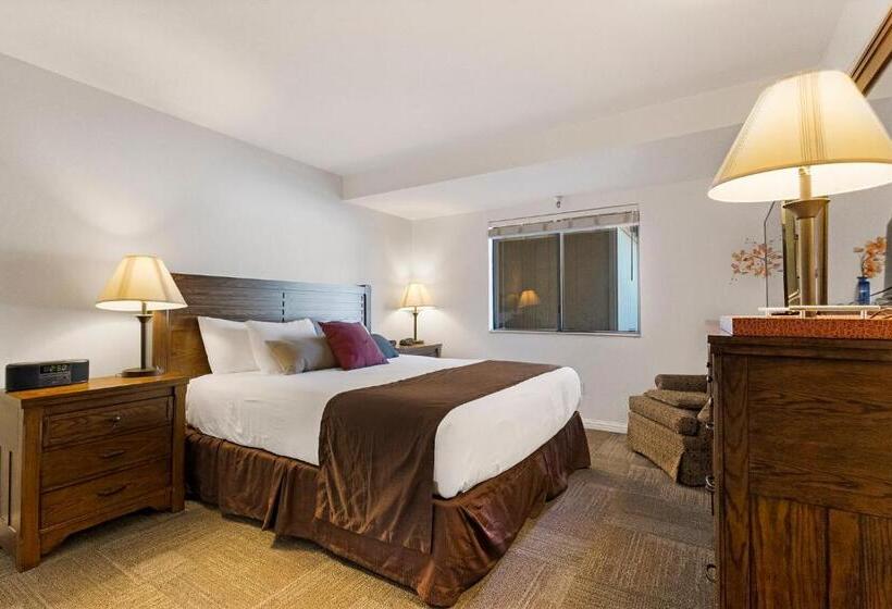 スイート, Sonora Aladdin Motor Inn