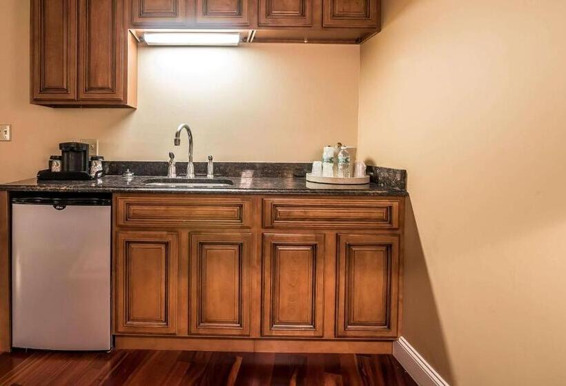 غرفة ديلوكس سرير كينج ذات إطلالة, Riverside Hotel, Ascend Hotel Collection