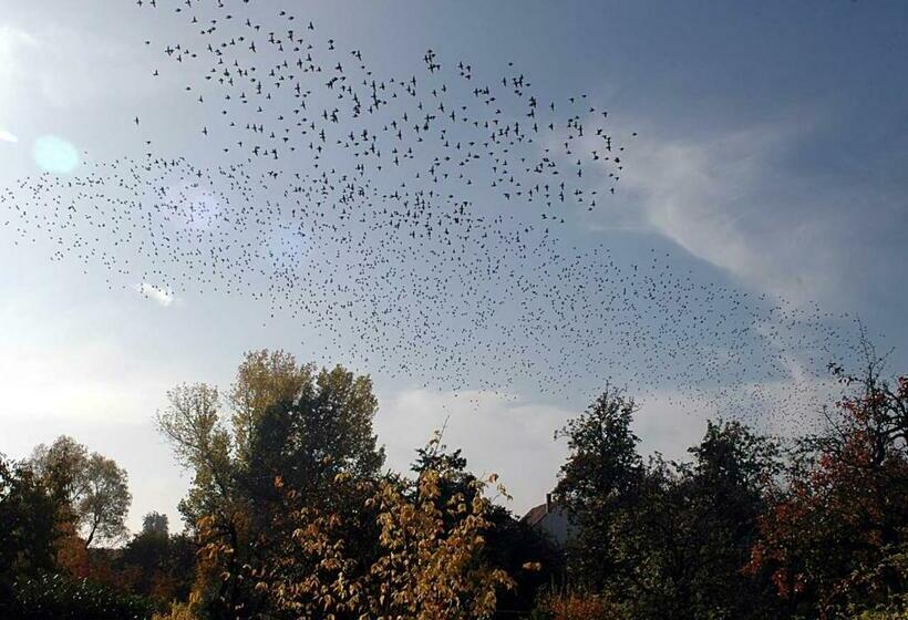 חדר סטנדרט נוף לגינה, Gästehaus Palatinas