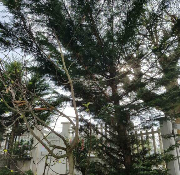 חדר סטנדרט נוף לגינה, Ndp Family