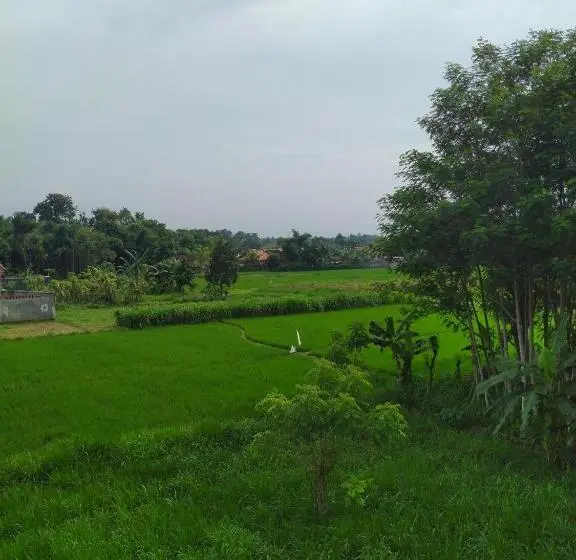 エコノミールーム, Penginapan Banyu Biruku