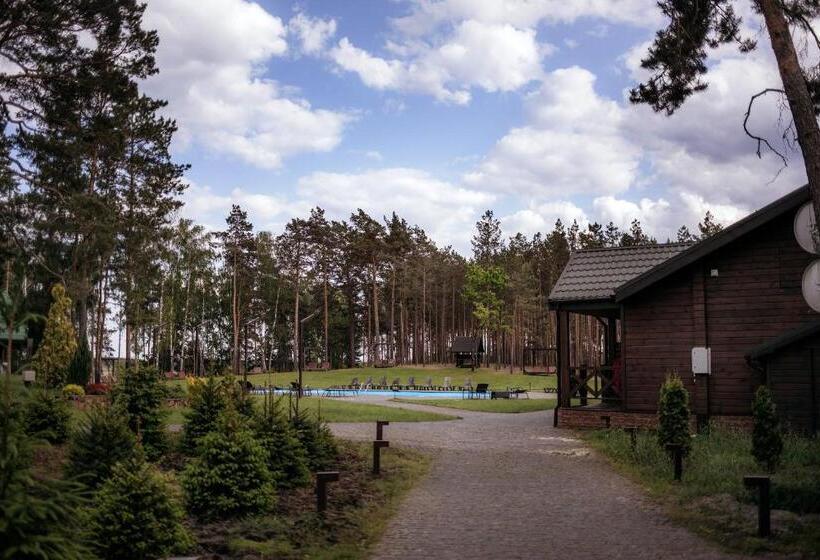 带露台的高档房间, Zaliv