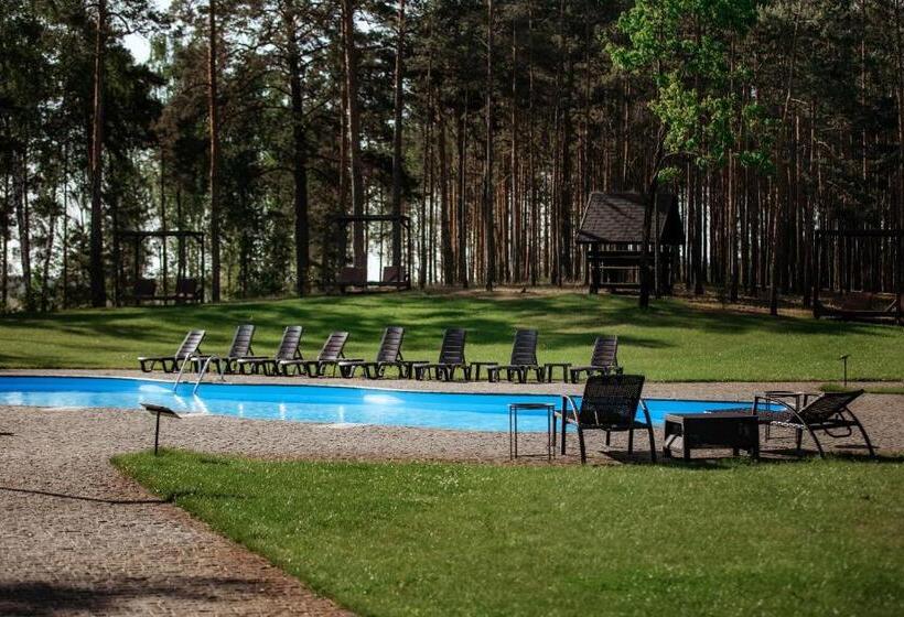 带露台的高档房间, Zaliv