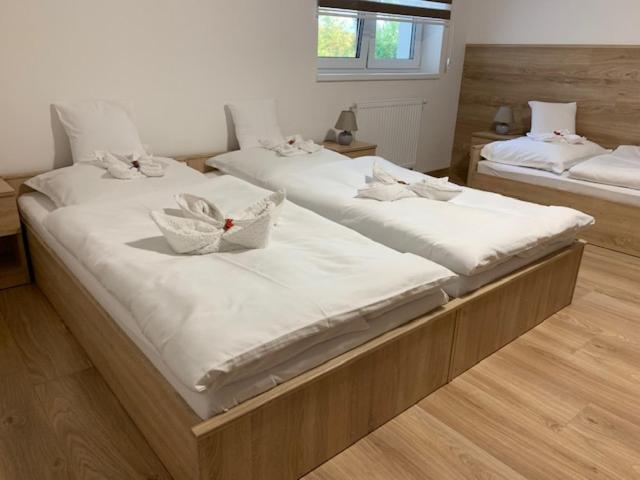 Quarto Estandar, Penzion Moto