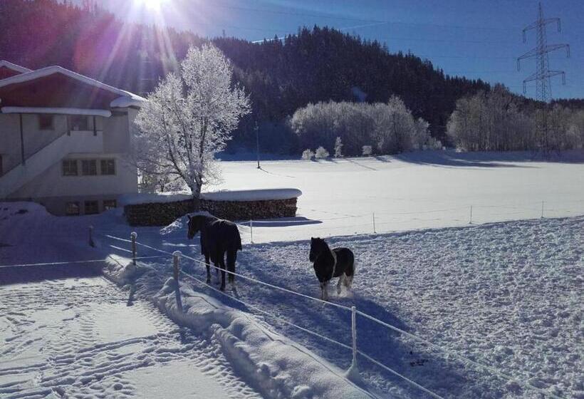 غرفة قياسية رباعية, Room In Apartment   Ferienhaus Kahr Appartment Rosbrand