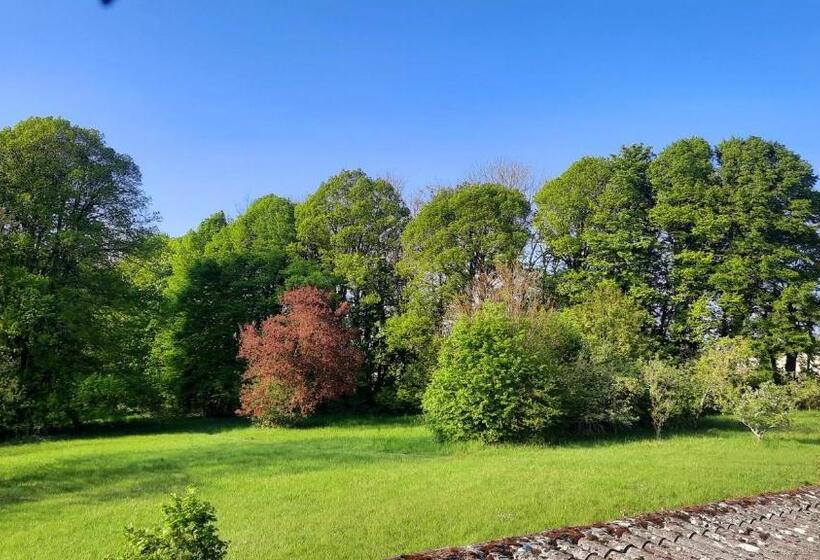 Standardzimmer mit Gartenblick, Château Machiel