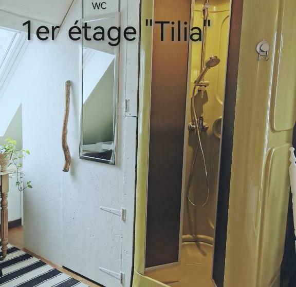 スタンダードルーム, La Coticia