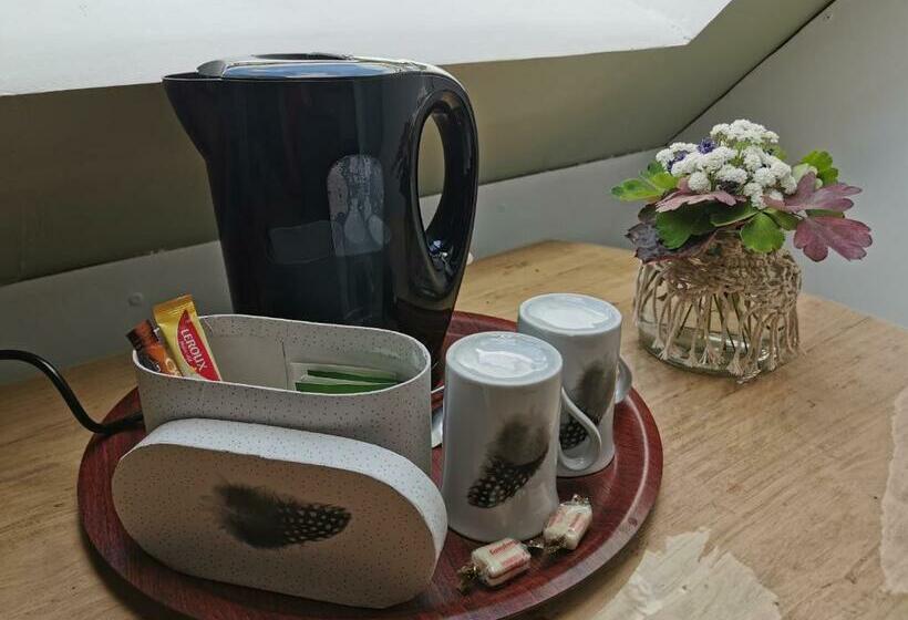 スタンダードルーム, La Coticia