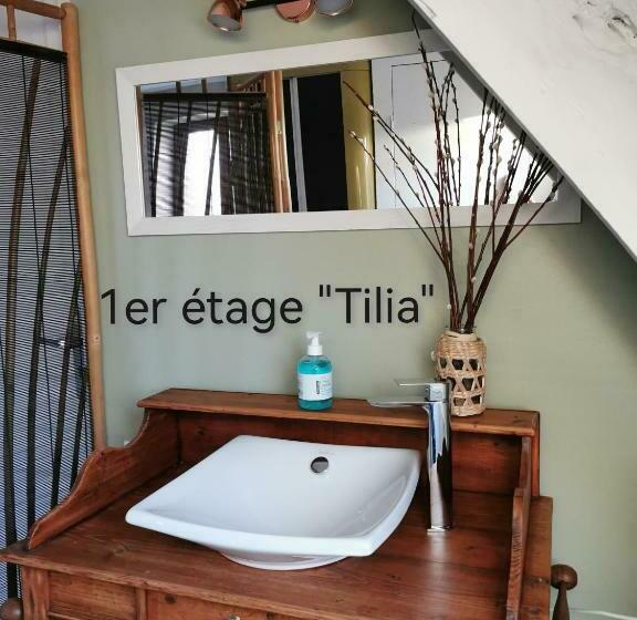 スタンダードルーム, La Coticia