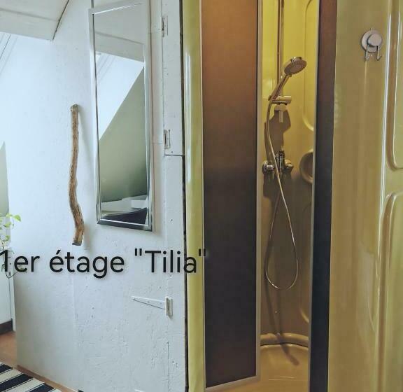 スタンダードルーム, La Coticia