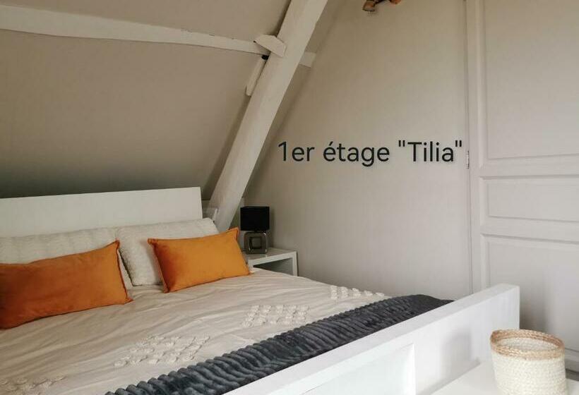 スタンダードルーム, La Coticia