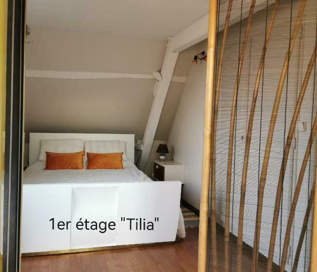 スタンダードルーム, La Coticia