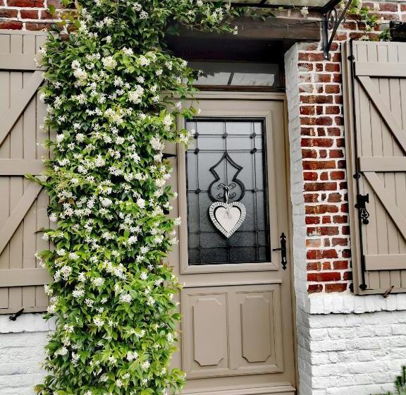 スタンダードルーム, La Coticia