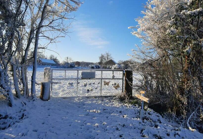 Семейный Номер, Notre Village Papillon Bed&breakfast