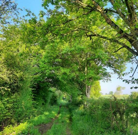 Семейный Номер, Notre Village Papillon Bed&breakfast